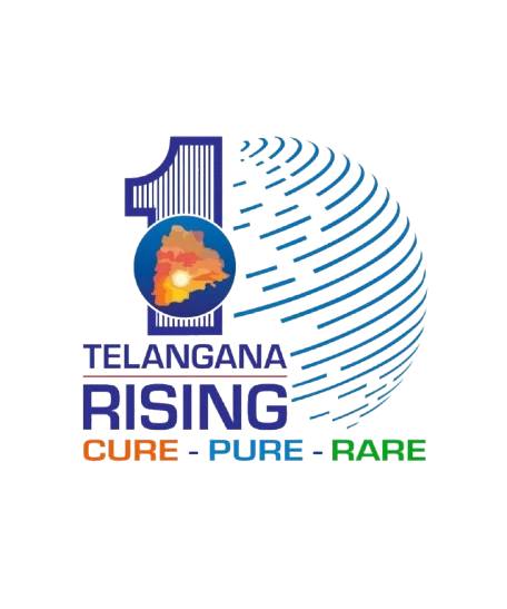 Telangana Rising